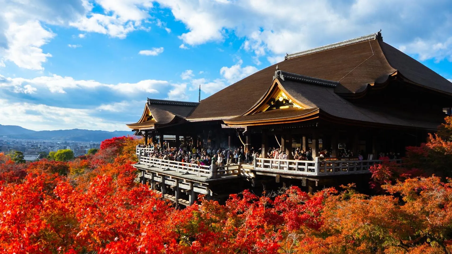 ホステル祇園sora Kyoto Hostel
